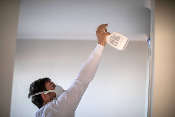 Best Mold Damage Repair  in Ddleville, MI