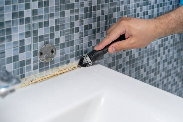 Best Mold Testing  in Ddleville, MI