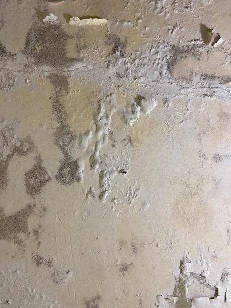 Water Damage Restoration in Middleville, MI