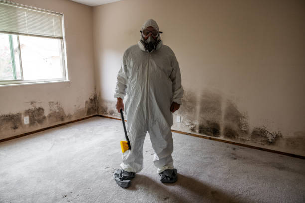 Best Mold Testing  in Ddleville, MI